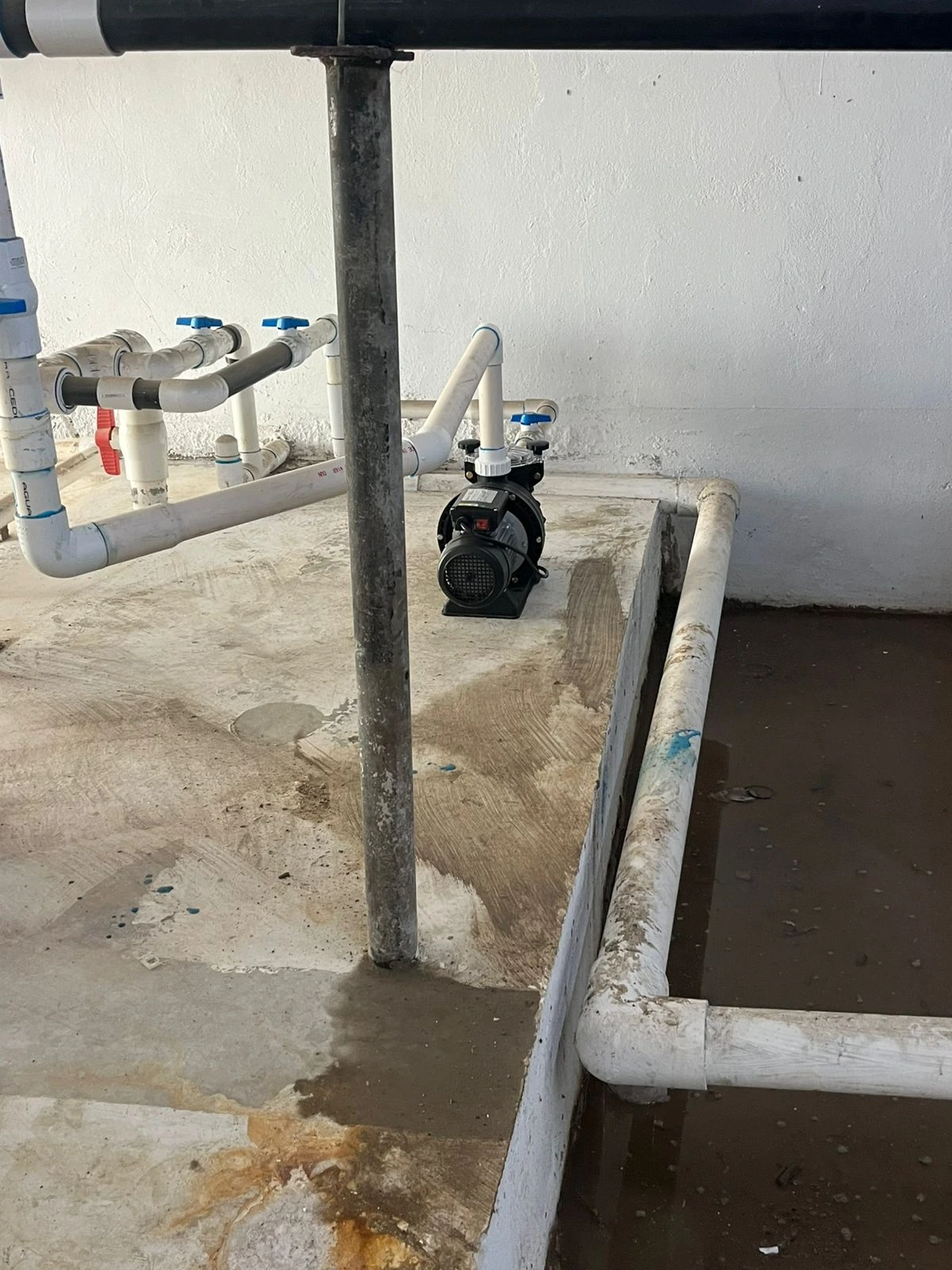 Foto 3 proyecto alberca olímpica.